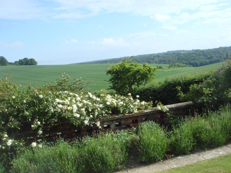 Clover Farm